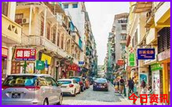 海鸥夏天去哪儿了